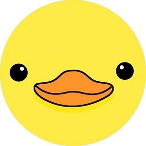 Meet your Posher, Duck